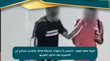 تنويه مهم اليوم.. الحبس 6 سنوات لسرقة هاتف وتهديد بسلاح في الأميرية بعد تداول الفيديو